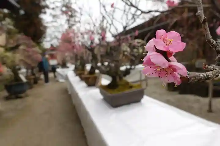 菅原天満宮(菅原神社)のその他建物