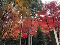 鶏足寺の{uncategorized: "未分類", other: "その他", undefined: "問題あり", building: "その他建物", grave: "お墓", sacred_gate: "鳥居", guardian: "狛犬", statue: "像", buddha: "仏像", history: "歴史", nature: "自然", garden: "庭園", animal: "動物", pagoda: "塔", temizu: "手水舎", mountain_gate: "山門・神門", sanctuary: "本殿・本堂", subordinate: "末社・摂社", art: "芸術", scenery: "景色", jizo: "地蔵", ema: "絵馬", goshuin: "御朱印", omikuji: "おみくじ", items: "授与品その他", amulet: "お守り", goshuincho: "御朱印帳", eats: "食事", festival: "お祭り", votive_dance: "神楽", shichigosan: "七五三参", wedding: "結婚式", experience: "体験その他", initially: "初詣", around: "周辺", anti_infection: "感染症対策"}