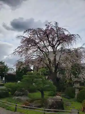 最勝寺(東京都)