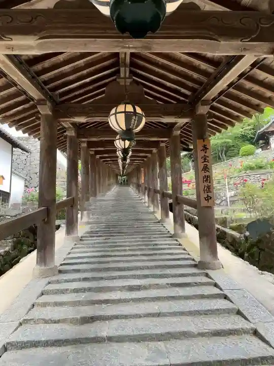 長谷寺の{uncategorized: "未分類", other: "その他", undefined: "問題あり", building: "その他建物", grave: "お墓", sacred_gate: "鳥居", guardian: "狛犬", statue: "像", buddha: "仏像", history: "歴史", nature: "自然", garden: "庭園", animal: "動物", pagoda: "塔", temizu: "手水舎", mountain_gate: "山門・神門", sanctuary: "本殿・本堂", subordinate: "末社・摂社", art: "芸術", scenery: "景色", jizo: "地蔵", ema: "絵馬", goshuin: "御朱印", omikuji: "おみくじ", items: "授与品その他", amulet: "お守り", goshuincho: "御朱印帳", eats: "食事", festival: "お祭り", votive_dance: "神楽", shichigosan: "七五三参", wedding: "結婚式", experience: "体験その他", initially: "初詣", around: "周辺", anti_infection: "感染症対策"}