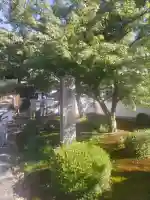 圓光寺の{uncategorized: "未分類", other: "その他", undefined: "問題あり", building: "その他建物", grave: "お墓", sacred_gate: "鳥居", guardian: "狛犬", statue: "像", buddha: "仏像", history: "歴史", nature: "自然", garden: "庭園", animal: "動物", pagoda: "塔", temizu: "手水舎", mountain_gate: "山門・神門", sanctuary: "本殿・本堂", subordinate: "末社・摂社", art: "芸術", scenery: "景色", jizo: "地蔵", ema: "絵馬", goshuin: "御朱印", omikuji: "おみくじ", items: "授与品その他", amulet: "お守り", goshuincho: "御朱印帳", eats: "食事", festival: "お祭り", votive_dance: "神楽", shichigosan: "七五三参", wedding: "結婚式", experience: "体験その他", initially: "初詣", around: "周辺", anti_infection: "感染症対策"}