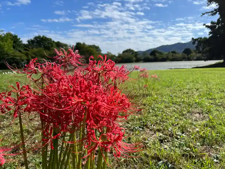 大覚寺(京都府)