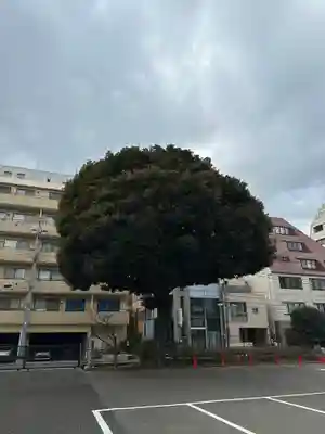 霊雲寺(東京都)