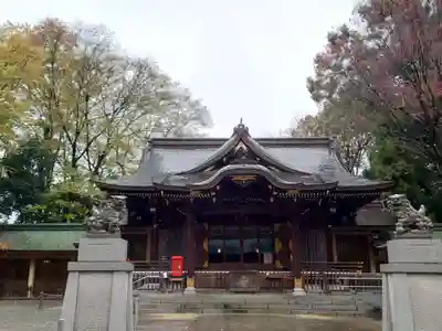 荻窪八幡神社の本殿・本堂
