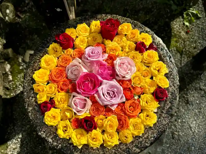 丹生都比売神社(和歌山県)