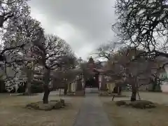 北野神社の自然