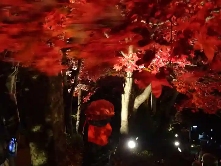 大山寺(神奈川県)