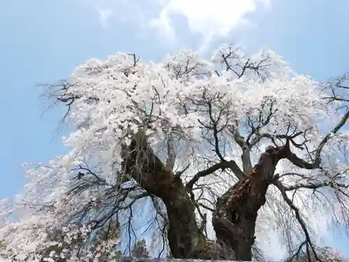 福王寺のその他建物