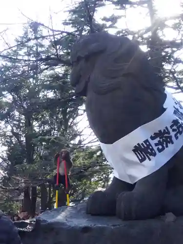 浅草神社の狛犬