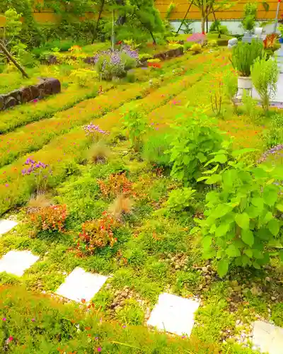 寿量山　速成寺のお墓