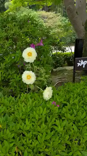 當麻寺奥院(奈良県)