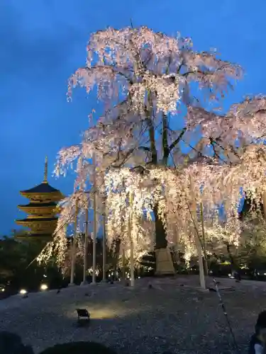 東寺（教王護国寺）(京都府)