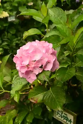 円照寺(兵庫県)