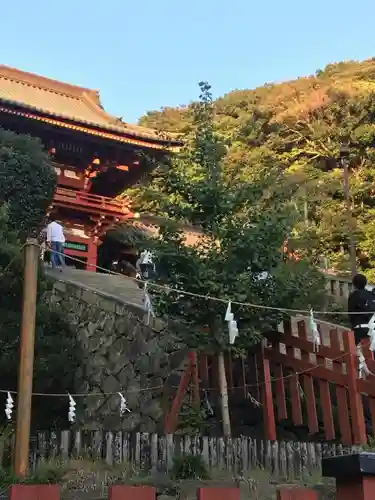 鶴岡八幡宮の自然