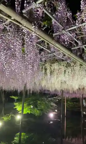 牛玉山観音寺の{uncategorized: "未分類", other: "その他", undefined: "問題あり", building: "その他建物", grave: "お墓", sacred_gate: "鳥居", guardian: "狛犬", statue: "像", buddha: "仏像", history: "歴史", nature: "自然", garden: "庭園", animal: "動物", pagoda: "塔", temizu: "手水舎", mountain_gate: "山門・神門", sanctuary: "本殿・本堂", subordinate: "末社・摂社", art: "芸術", scenery: "景色", jizo: "地蔵", ema: "絵馬", goshuin: "御朱印", omikuji: "おみくじ", items: "授与品その他", amulet: "お守り", goshuincho: "御朱印帳", eats: "食事", festival: "お祭り", votive_dance: "神楽", shichigosan: "七五三参", wedding: "結婚式", experience: "体験その他", initially: "初詣", around: "周辺", anti_infection: "感染症対策"}