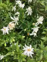 三輪神社の自然