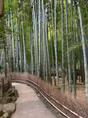 報国寺(神奈川県)