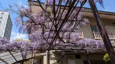 妙壽禅寺(妙寿寺)(大阪府)