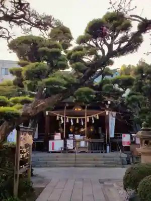 鳩森八幡神社の本殿・本堂