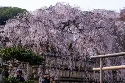 大石神社(京都府)