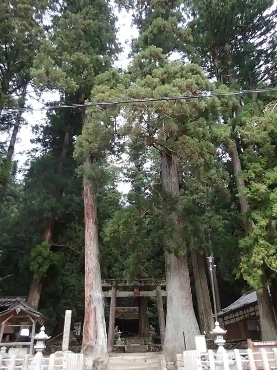 室生龍穴神社の自然