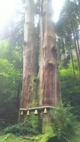 御岩神社の自然