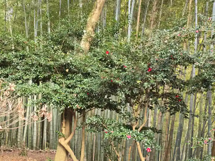 毘沙門堂門跡(京都府)