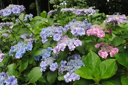 二本松寺(茨城県)