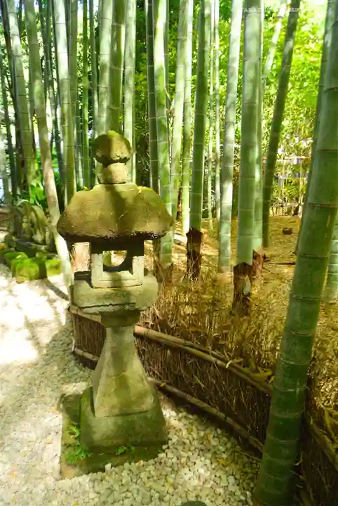報国寺(神奈川県)