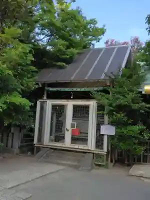稲毛神社(神奈川県)