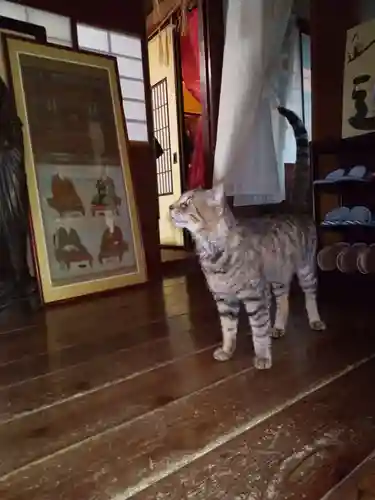 大王寺(石川県)