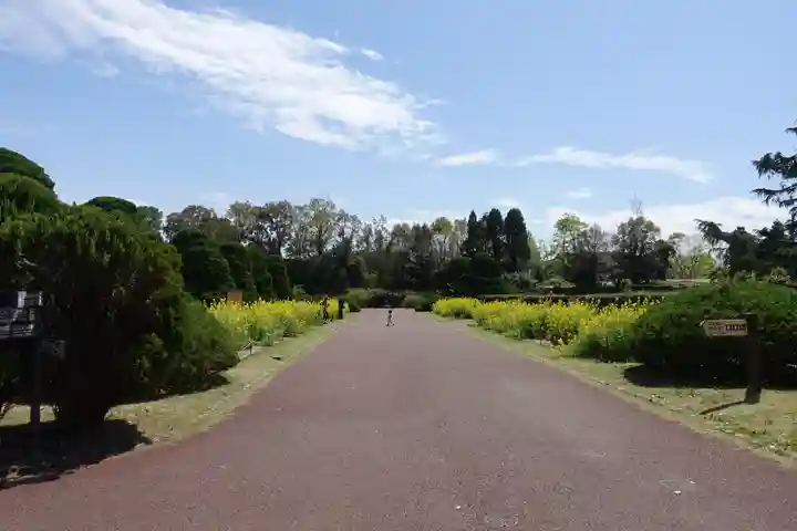 半木神社(賀茂別雷神社境外末社)(京都府)