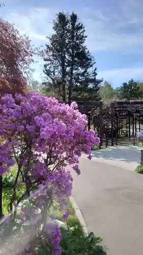 相馬神社(北海道)