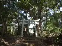 縣神社の鳥居