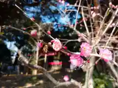 小林鳥見神社の自然