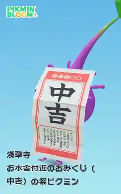 浅草寺のおみくじ