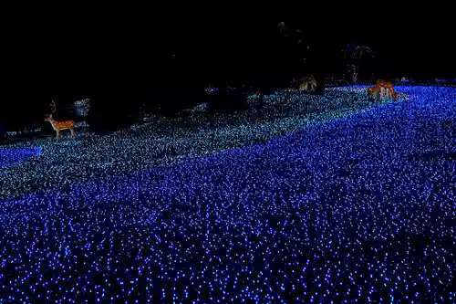 東大寺のお祭り