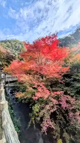 勝尾寺(大阪府)