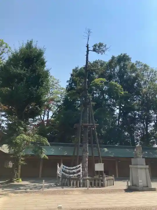荻窪八幡神社(東京都)