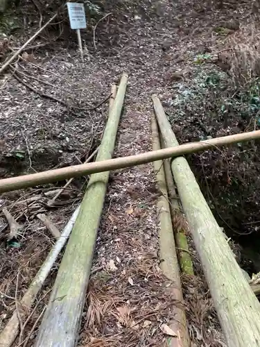河内神社の自然