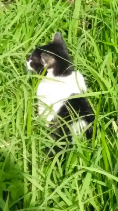 感応院(神奈川県)