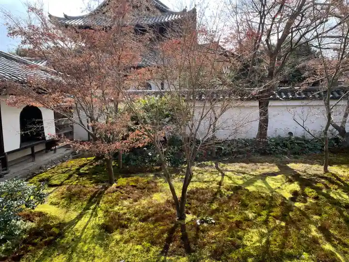 興聖寺(京都府)