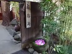 菅生神社の建物その他