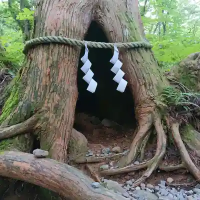 戸隠神社奥社(長野県)