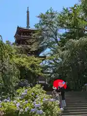 本土寺の塔