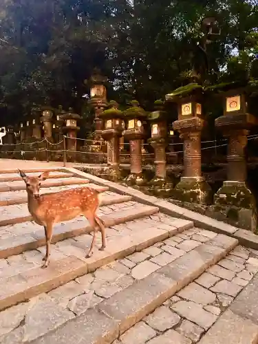 春日大社(奈良県)