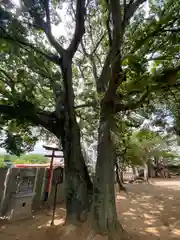 岩屋神社(兵庫県)