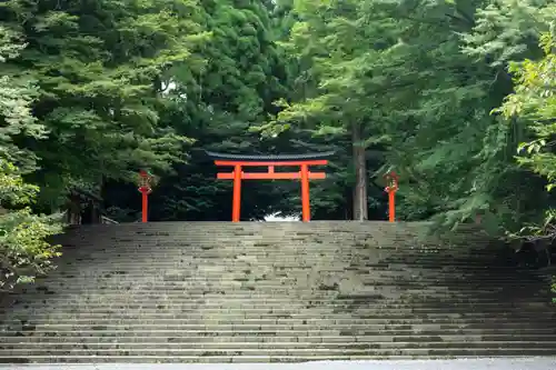 霧島神宮(鹿児島県)