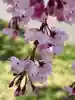 雪うさぎさんのプロフィール画像