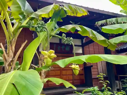 洞雲寺(東京都)
